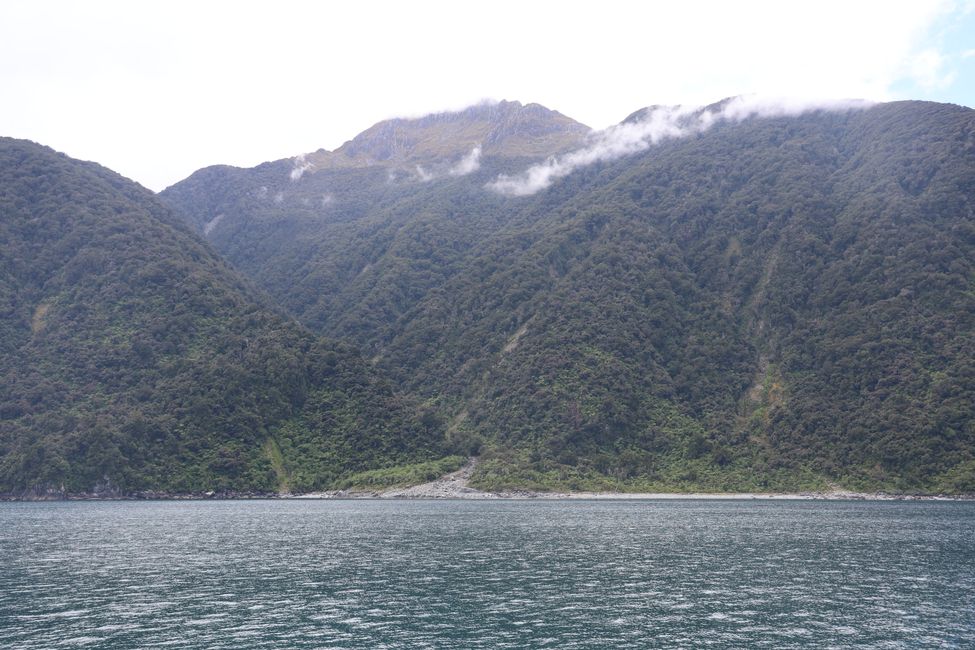 Milford Sound