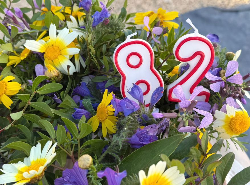 mit Blumen