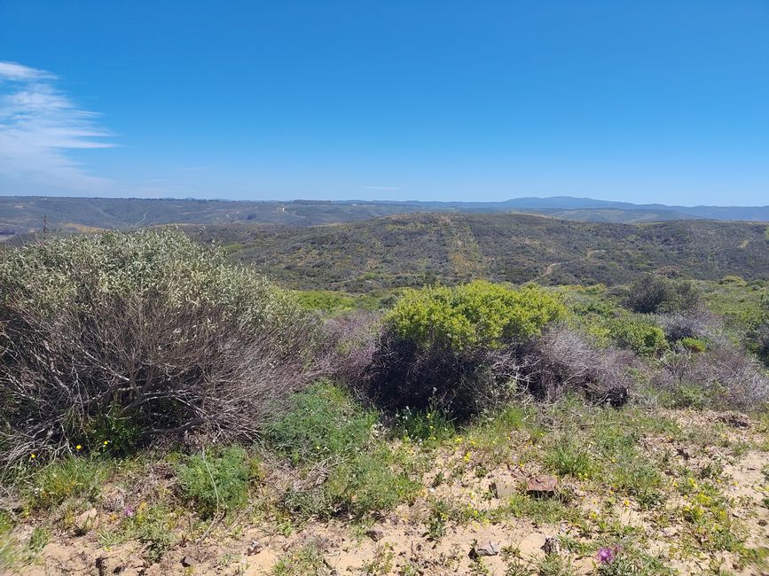 Arrifana -> Aljezur