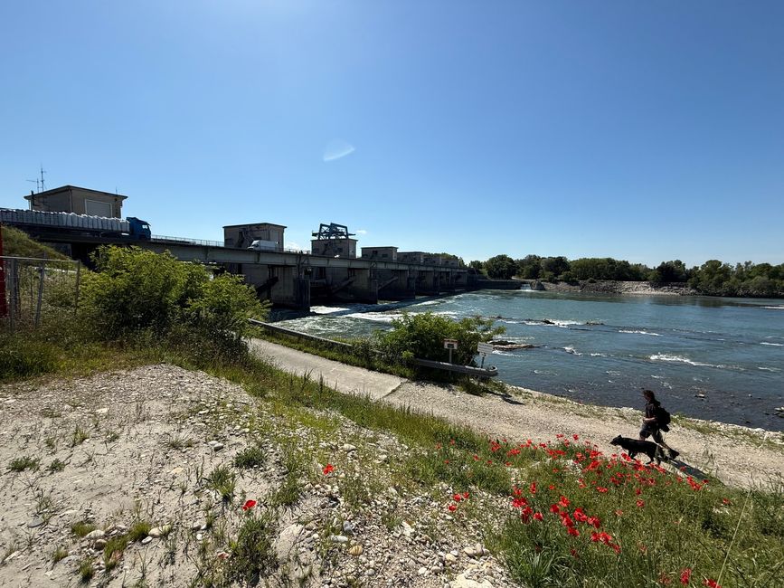 Rhône, Barrage de Donzère unterhalb