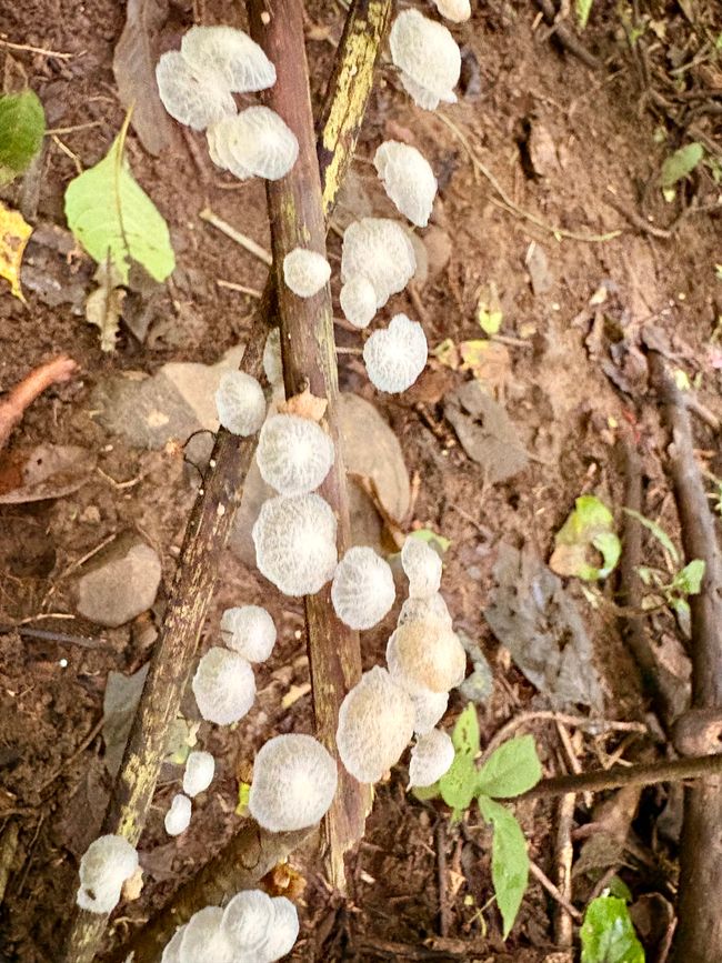 Unterwegs in Costa Rica