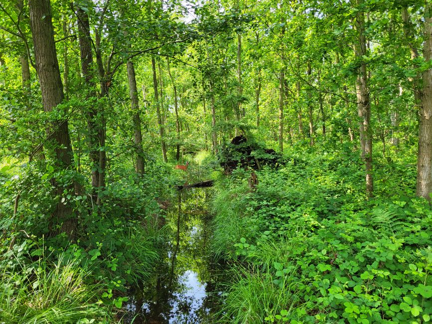Naturschutzgebiet Wallnau