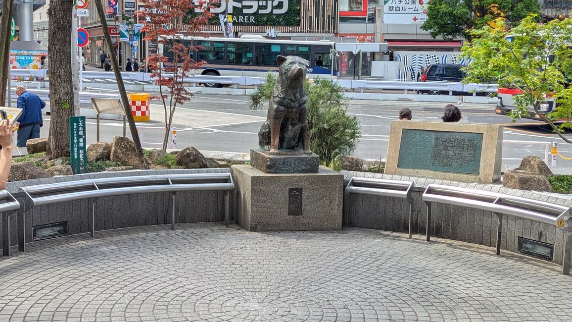 Sightseeing in Shibuya und Shinjuku