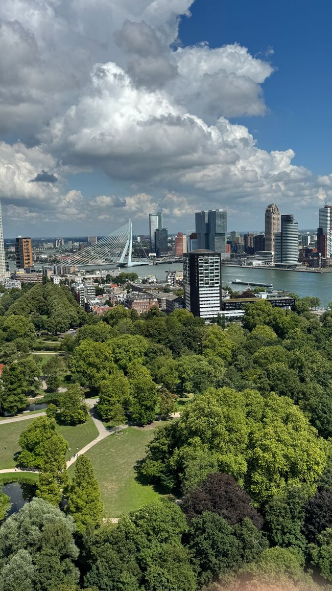 Rotterdam