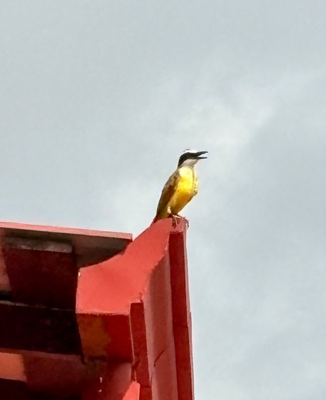 Unterwegs in Costa Rica