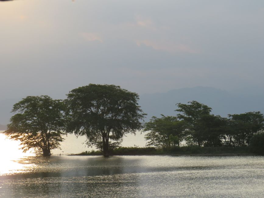 Udawalawa - Safari avec des éléphants