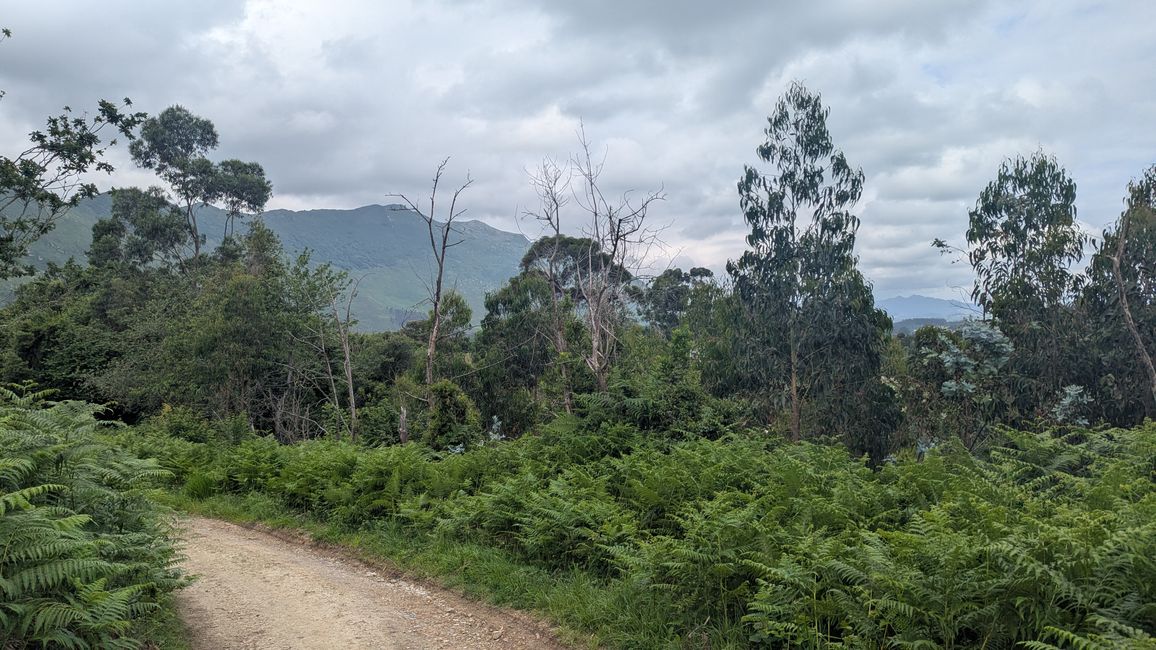 13. Stage Camino del Norte from Barro to Camango