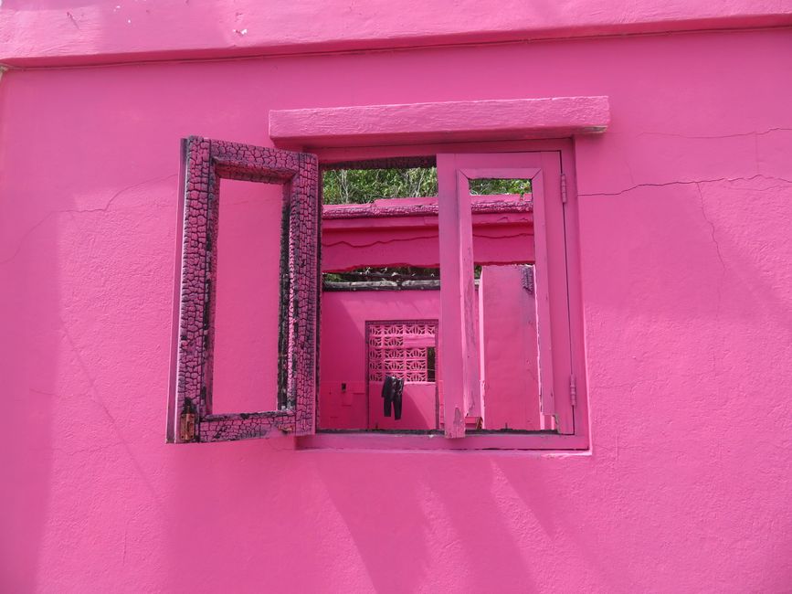 P!NK