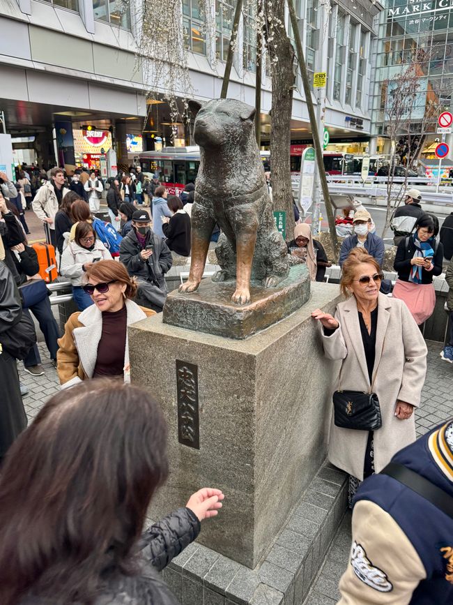 Parte 7
BENVENUTO IN GIAPPONE 🇯🇵
TOKYO
