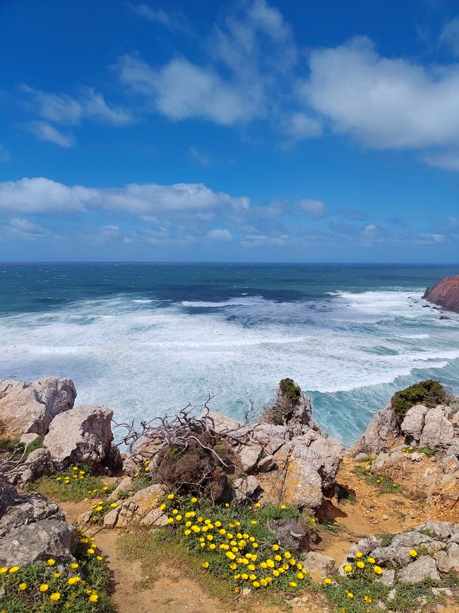 Sagres -> Vila do Bispo