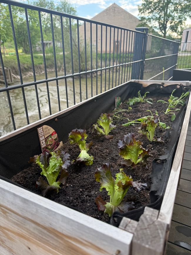 Gardening