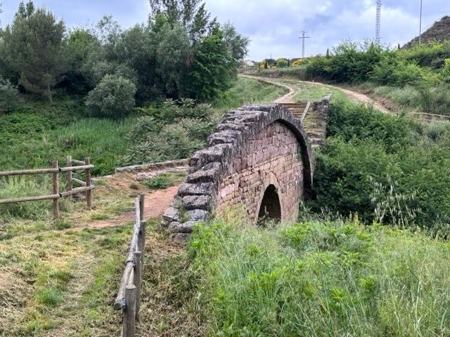 8. Tag 
Puente la Reina - Estella