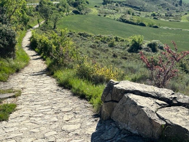 10. Tag
Los Arcos - Viana