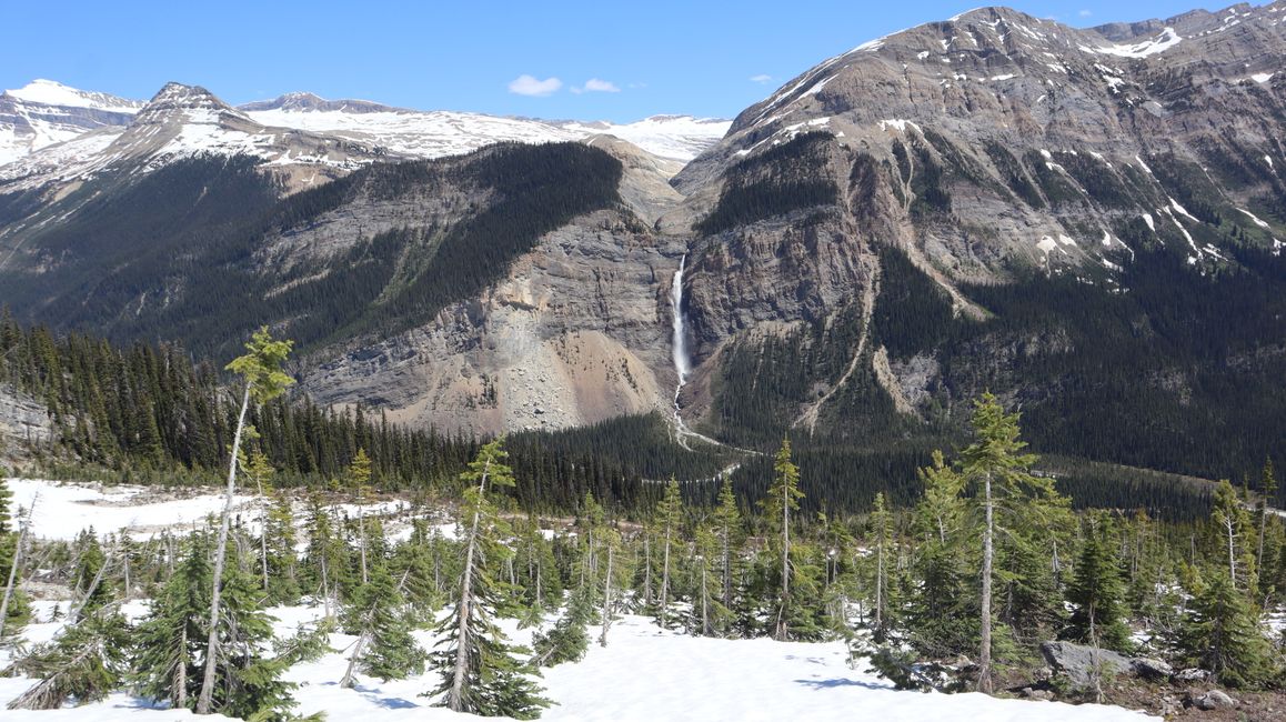 Yoho Lake