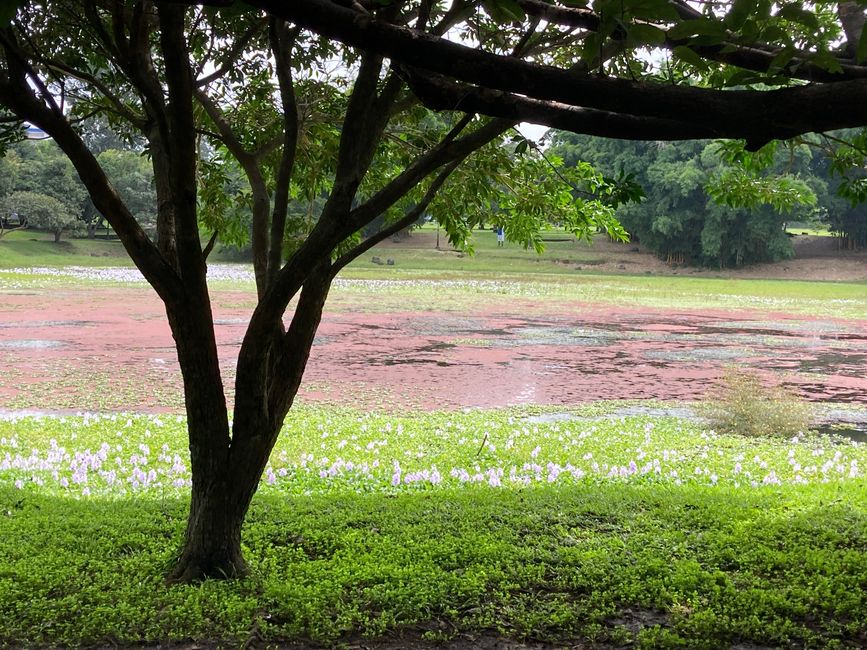 Nach einem Durchhänger geht es wieder aufwärts