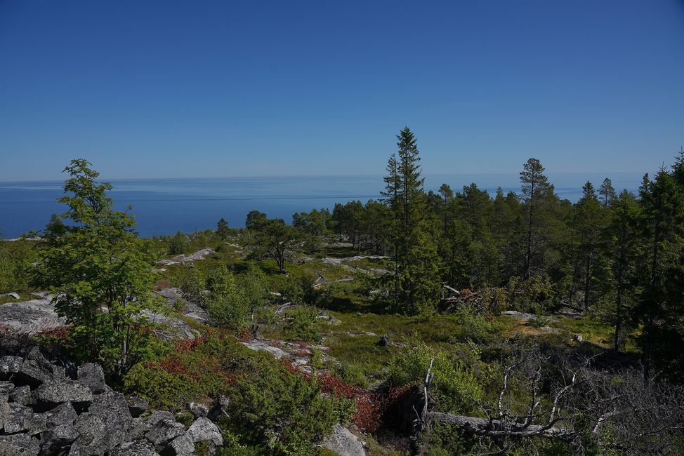 Tag 4: Willkommen in Finnland – Sauna, Zeitreise und die Mücken-Invasion