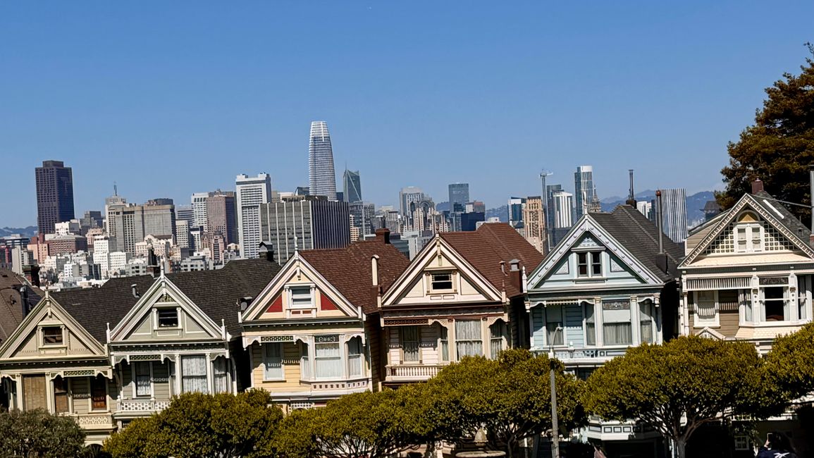 Painted Ladies @ Alamo Square