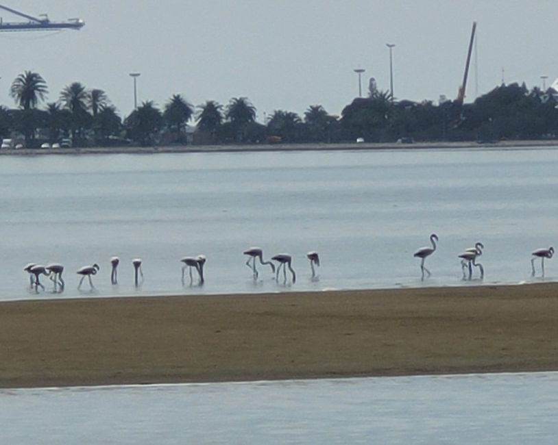 Jour 146 et 147/148 sur 175 : Croisière autour du monde : Walvis Bay/Namibie et deux jours en mer