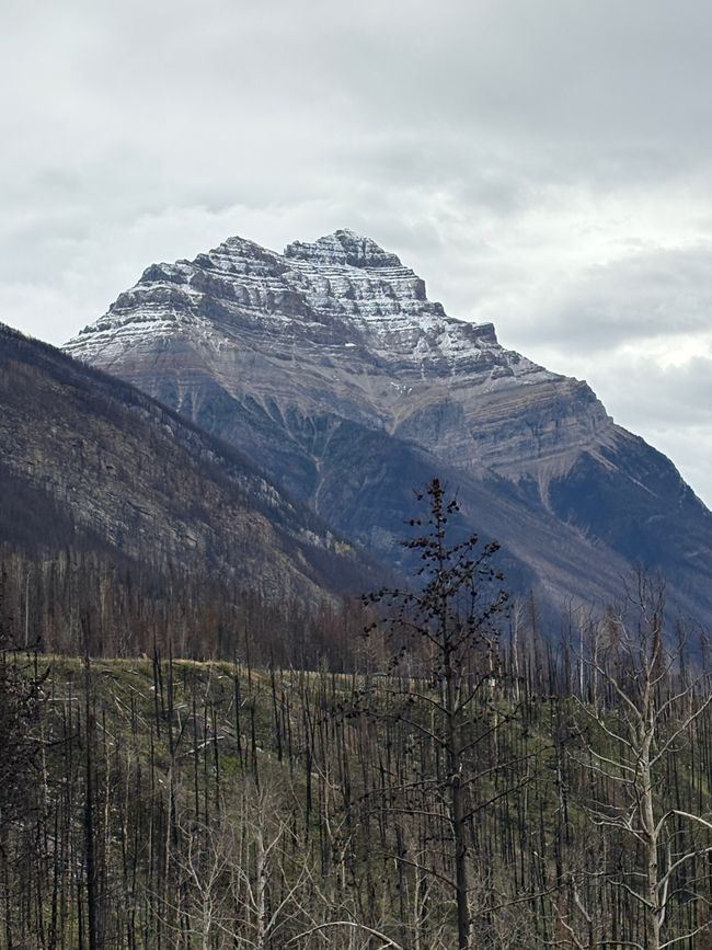 Tag 12 - 🏔️ Wasserfälle, Wetterkapriolen & Wellness – ein (fast) perfekter Tag in Jasper