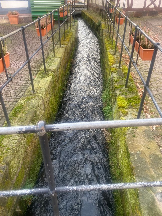 Kein Hinweis, wie der Bach heißt