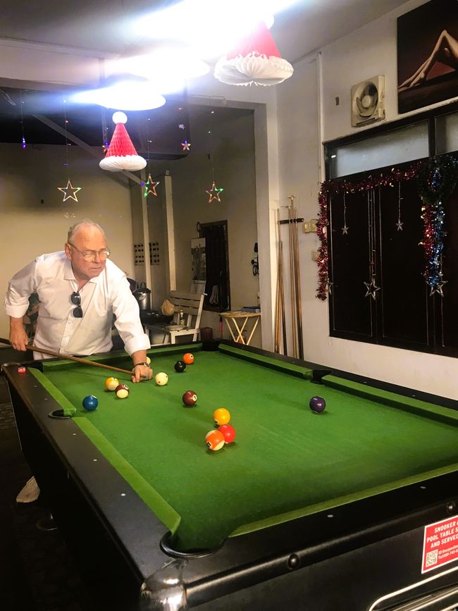 Vogel beim Pool-Billard