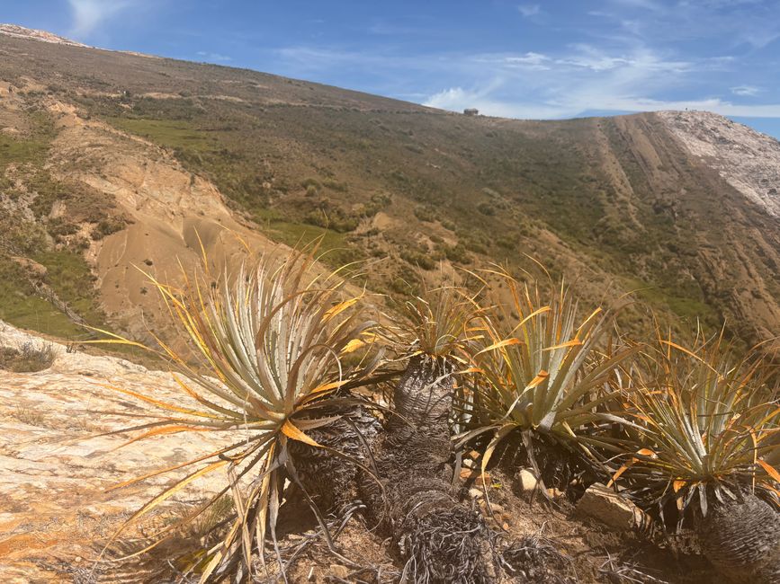 Isla del Sol