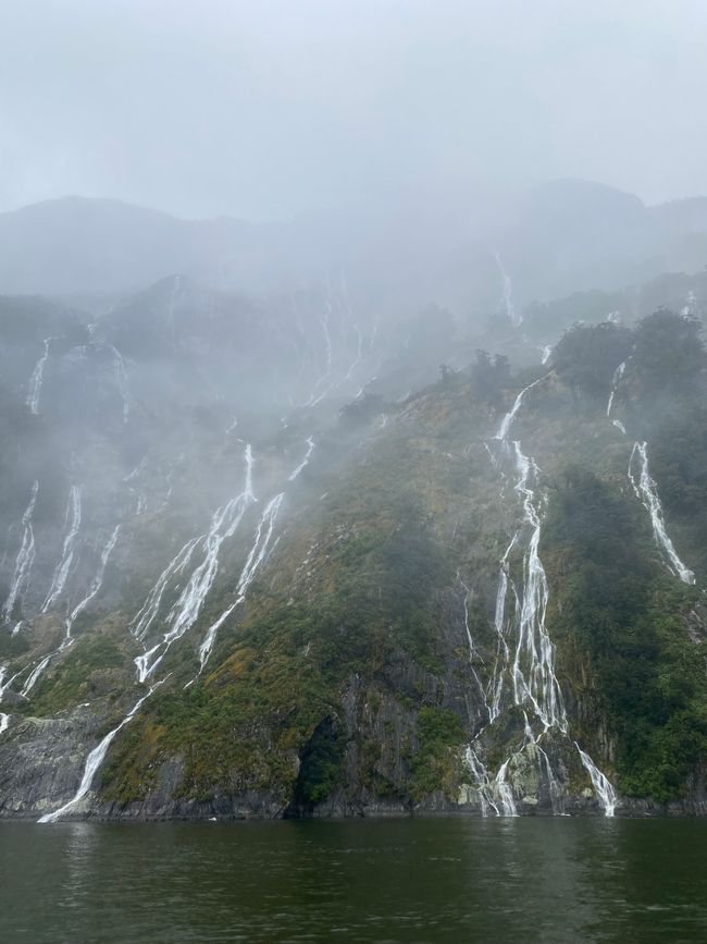 Road trip to Milford Sound