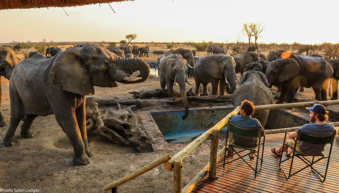 CHIRORODZIVA TOURS

 "Explore Zimbabwe 🇿🇼  The right way"