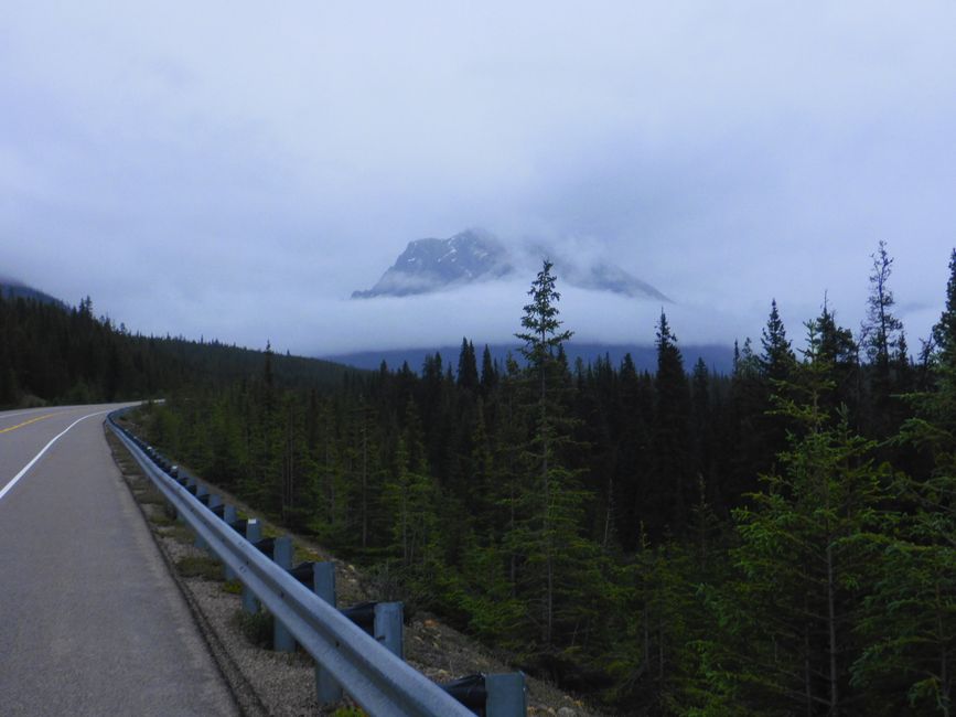 2025-06-19 sur l'Icefields Parkway de Jasper à Lake Louise, CA