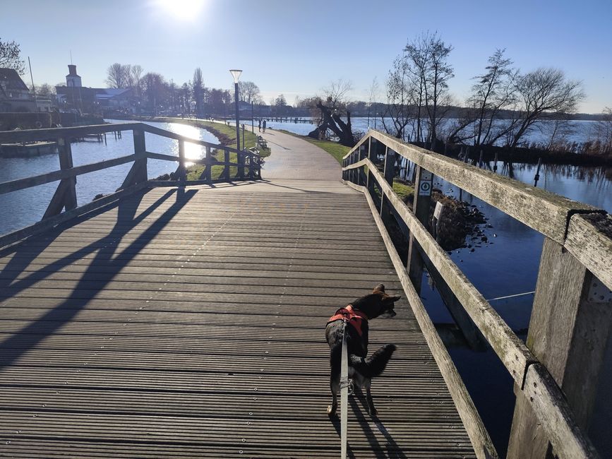 Our 1st trip! We went to Steinhuder Meer because the owner still had a TÜV inspection of the sports hall with the Lower Saxony Football Association NFV in Barsinghausen.