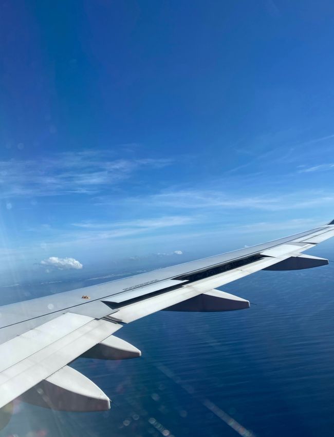 10 Días en Thundufushi - Un Viaje a Través de Aguas Azules, Jardines de Coral y Momentos de Quietud