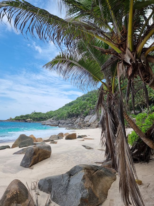 Seychellen - Tag 3: Insel Mahe Süden