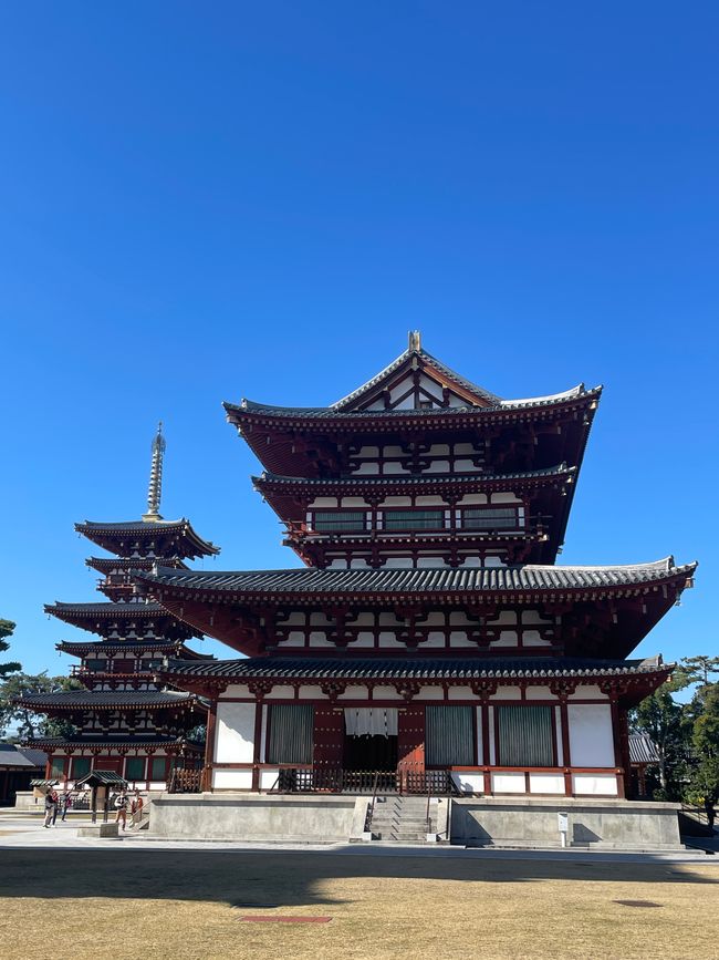 Nueva pagoda