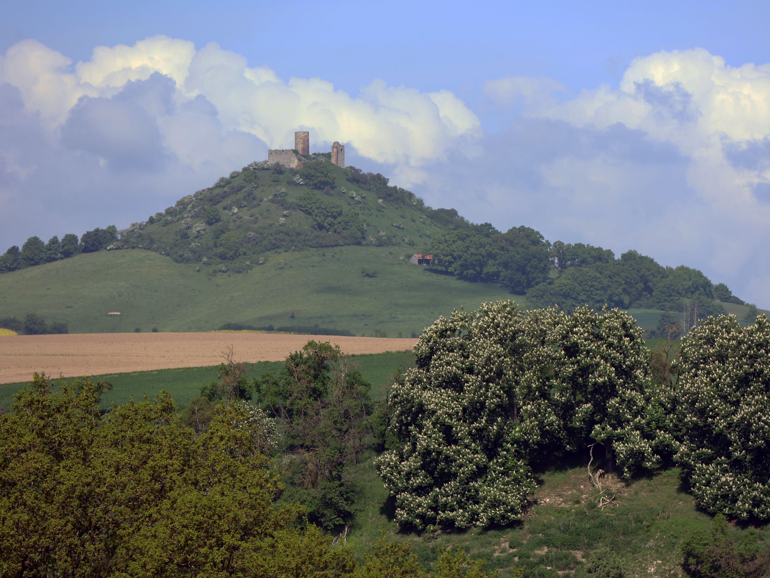 Dusenberg Castle Ruins