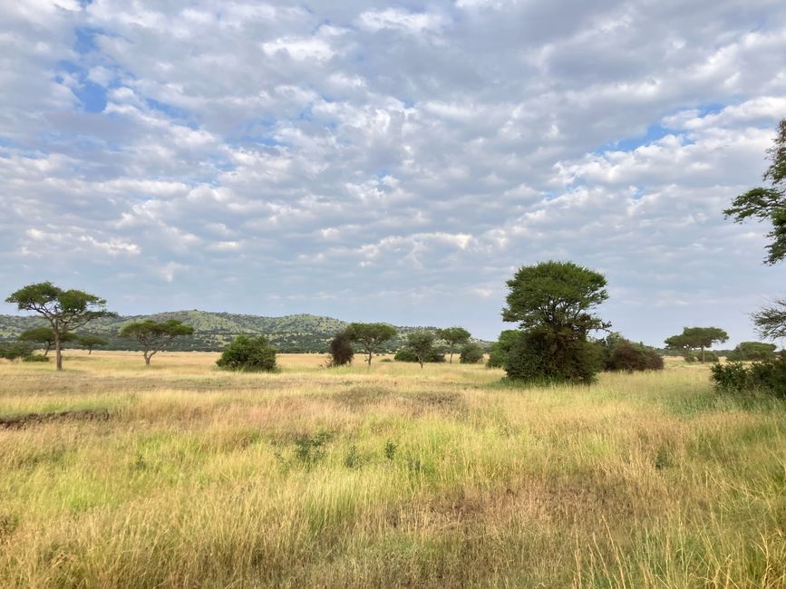 En la Serengeti - Día 3