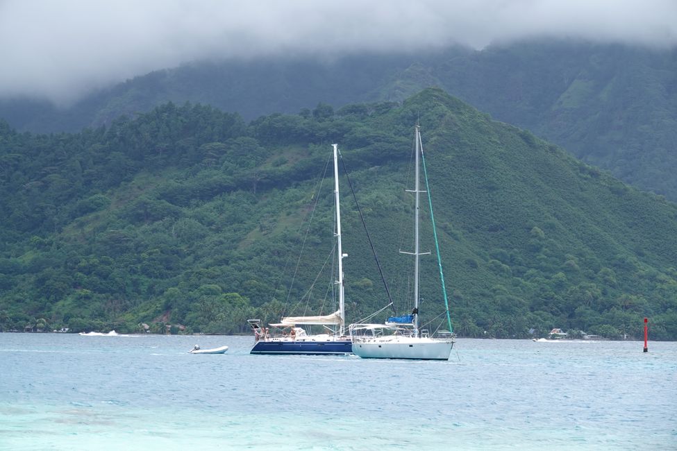 Heute war unser letzter Tag auf Moorea ....
