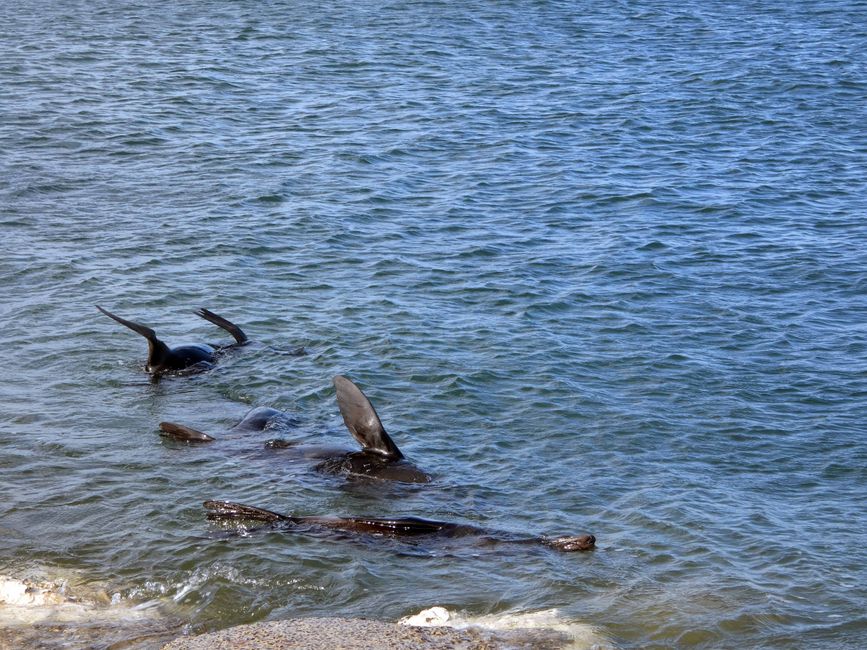 Kingscote, Kangaroo Island