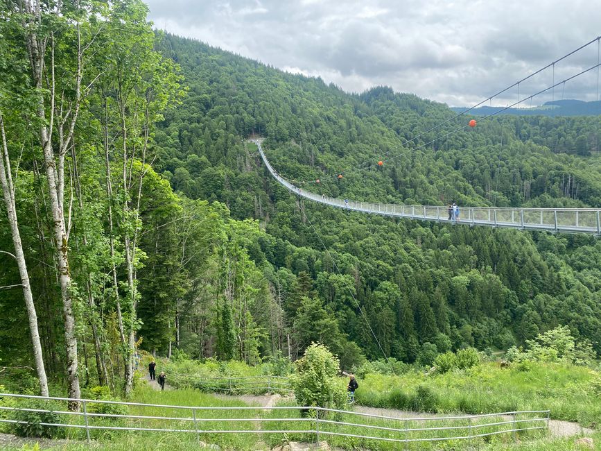 Von der Seite aus betrachtet: Black-Forest-Line