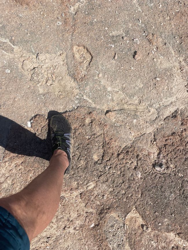 Huellas de 7000 años de antigüedad