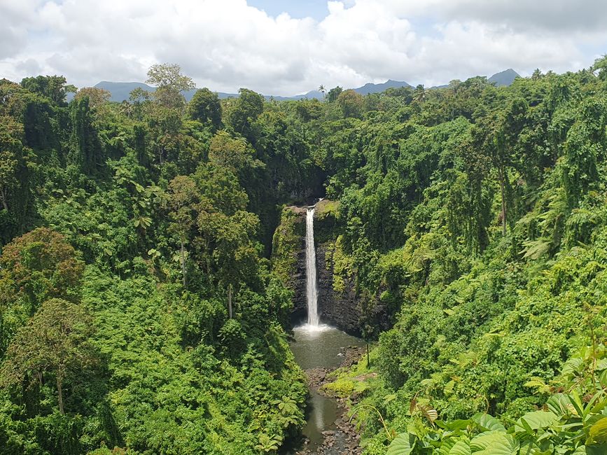 47. Tag Apia, Samoa 10.01.2026