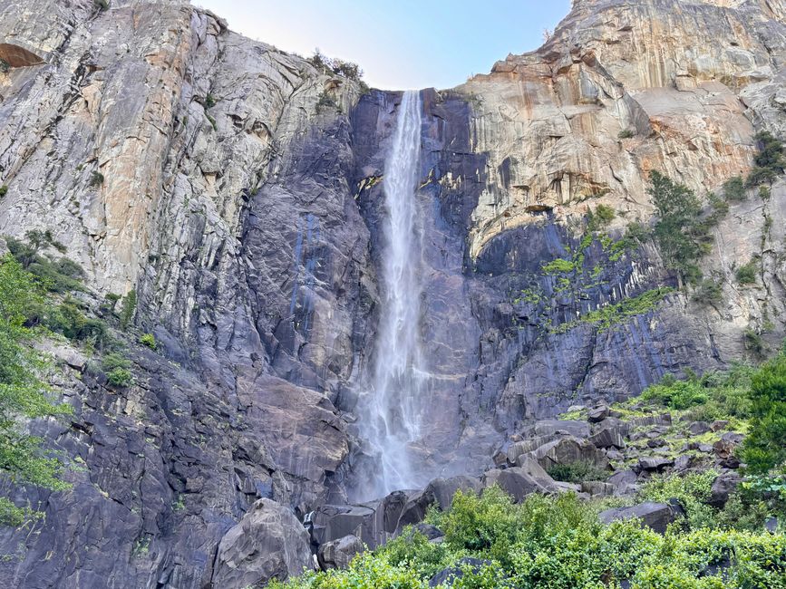 Cataracte Bridalveil