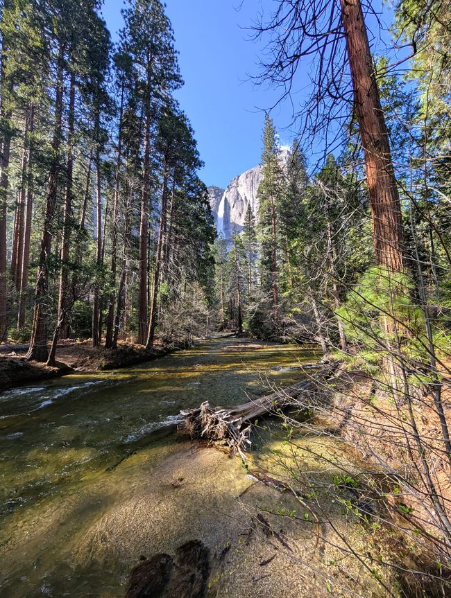 Parque Nacional Yosemite