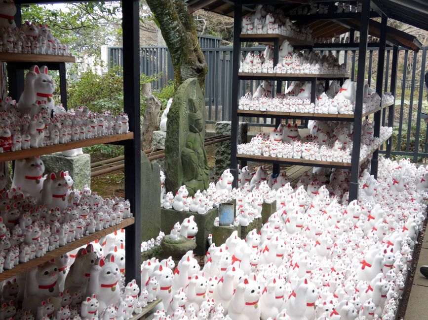 Katzentempel Gotoku-ji