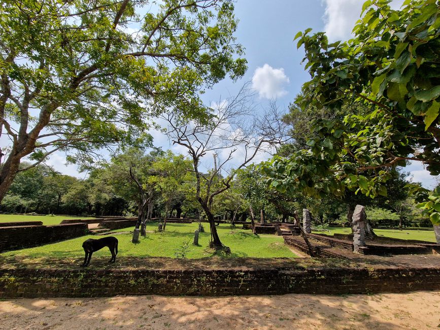 Polonnaruwa - 1000 años de historia y algo aprendido.