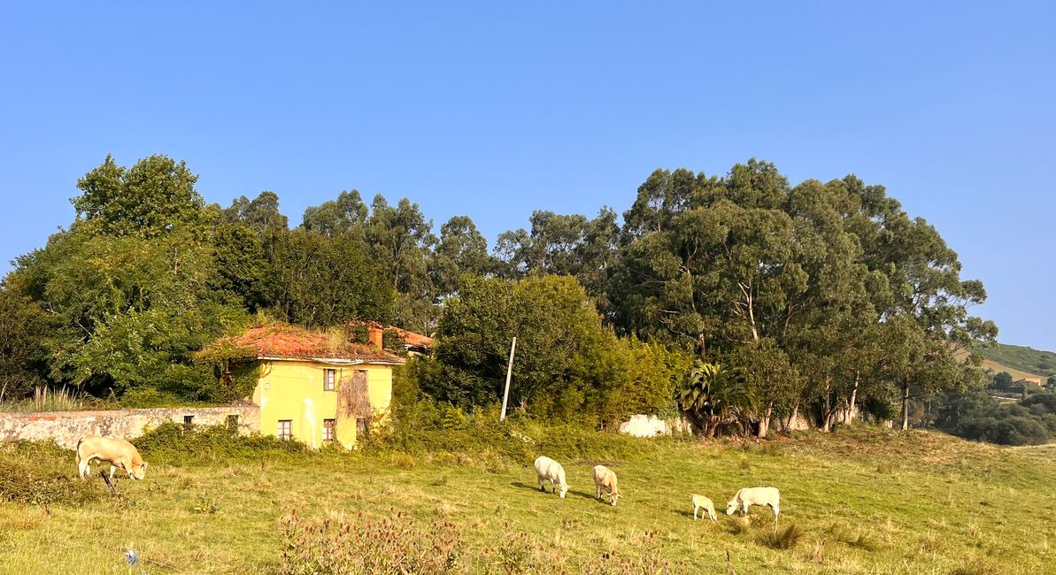 Una imagen típica de Cantabria