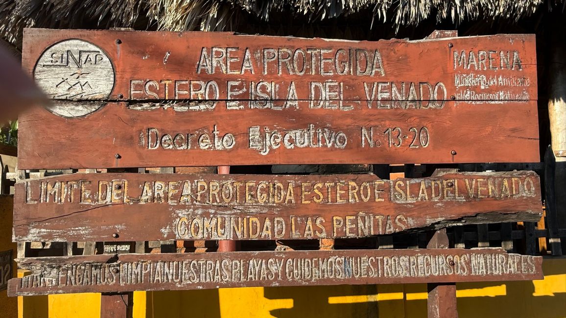 y de  