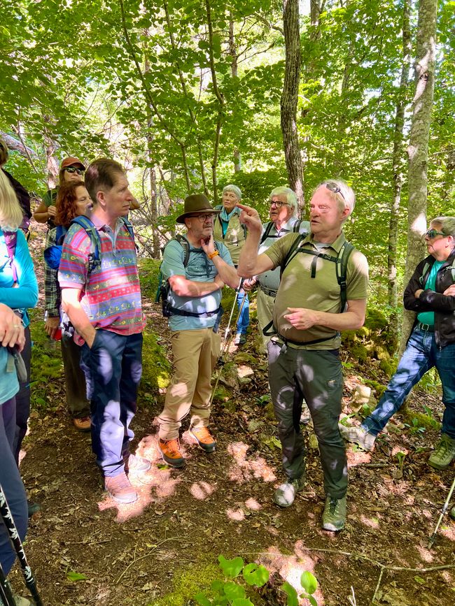 28 Wutachschlucht Pro Wolermoos
