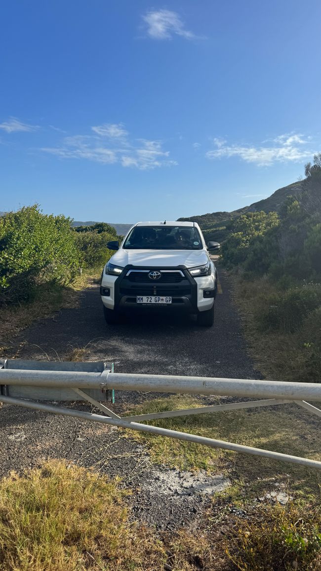 Tour del porto a Città del Capo, Spiaggia di Muizenberg, Spiaggia di Boulders, Capo di Buona Speranza