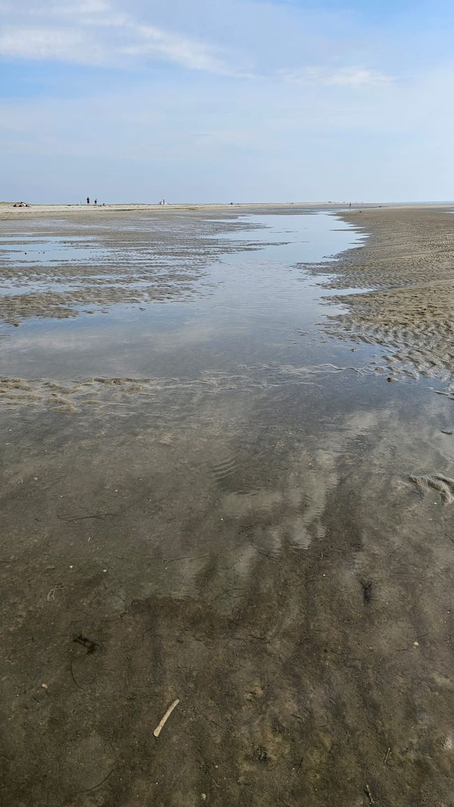 Dagebüll/ Sonderstrand Insel Römö Dänemark 