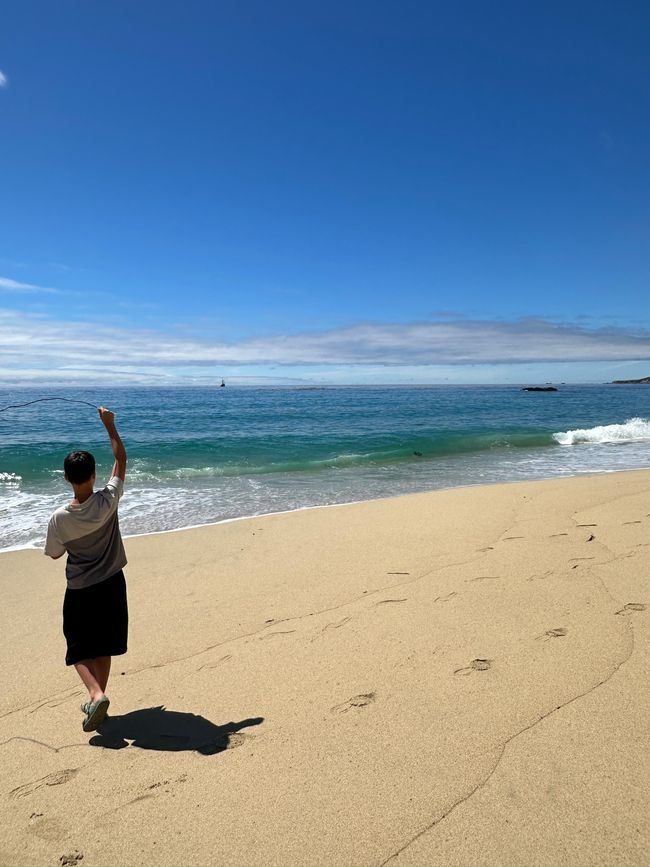 Santa Cruz-Monterey-Big Sur-Carmel by the Sea